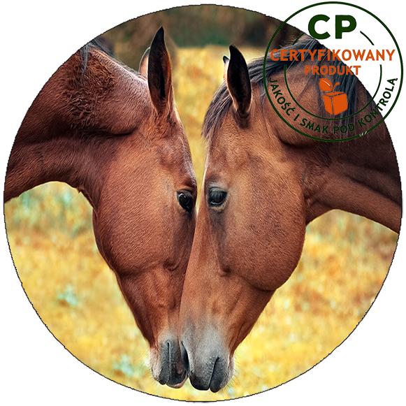 Opłatek na tort Konie