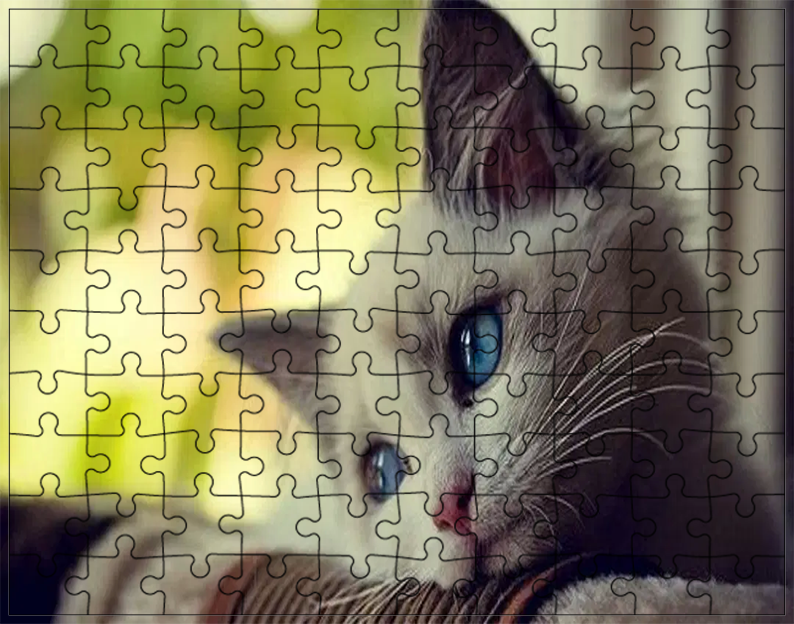 Puzzle Koty