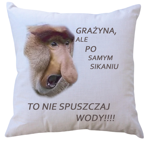 Poduszka dla Janusza