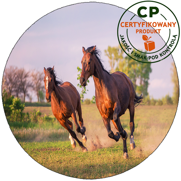 Opłatek na tort Konie