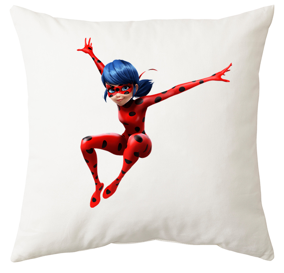 Poduszka Biedronka i Czarny Kot