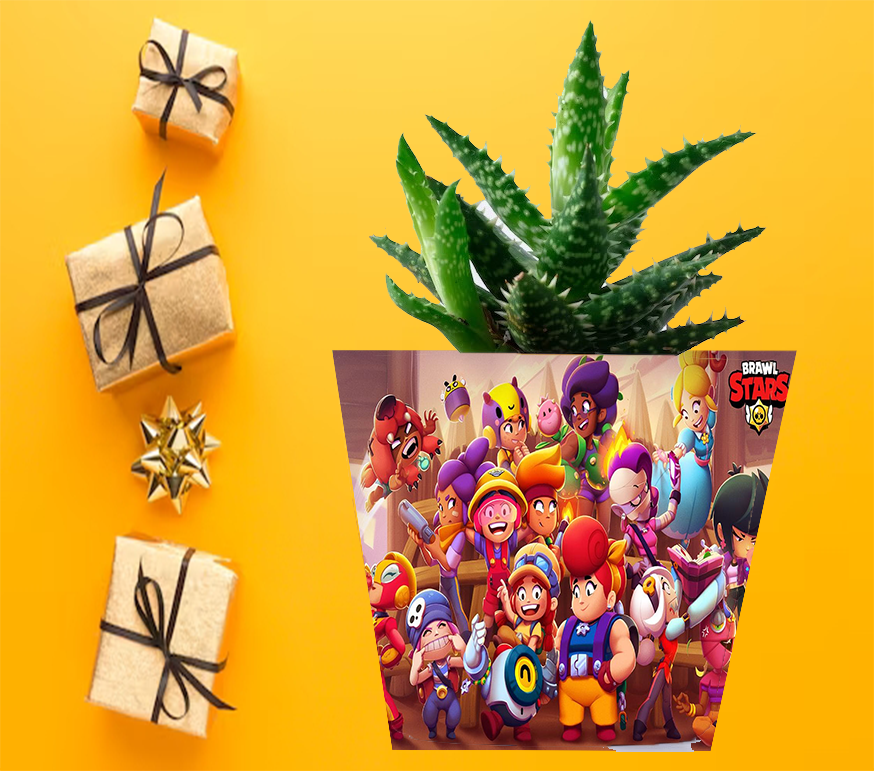 Doniczka do kwiatów - Brawl Stars