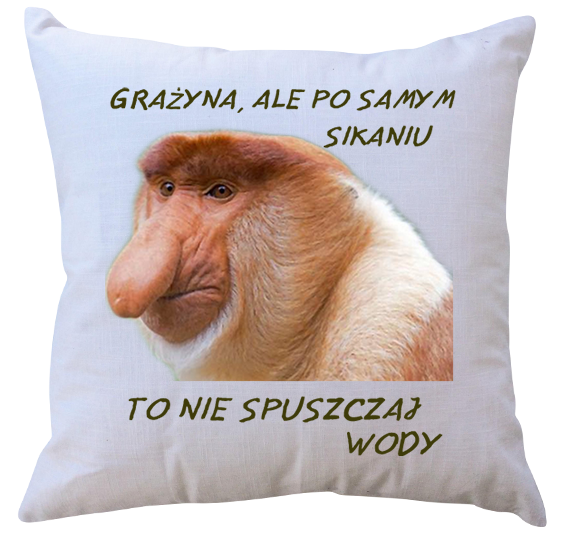 Poduszka dla Janusza