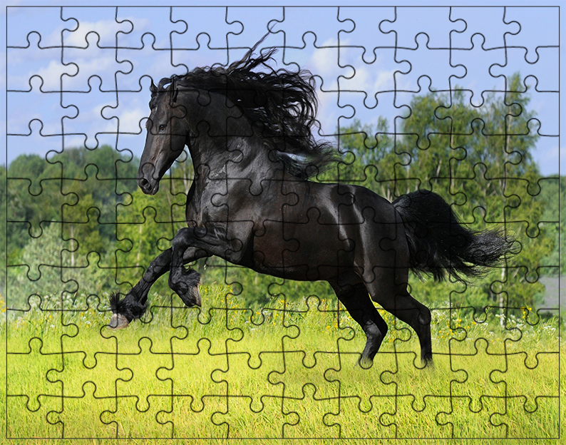 Puzzle Konie