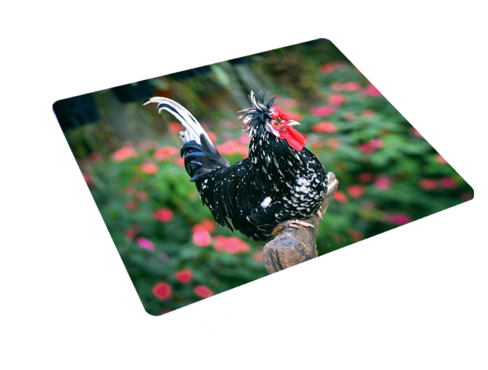 Podkładka pod myszkę Kury