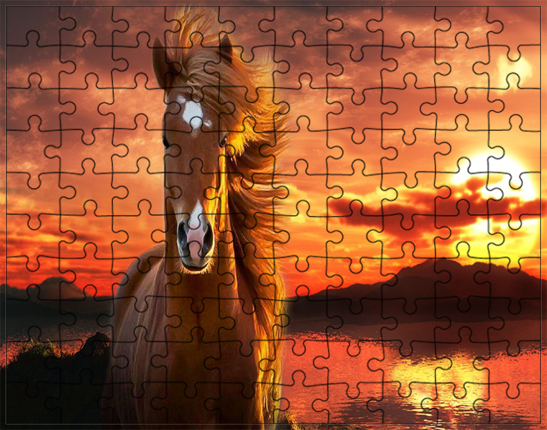 Puzzle Konie