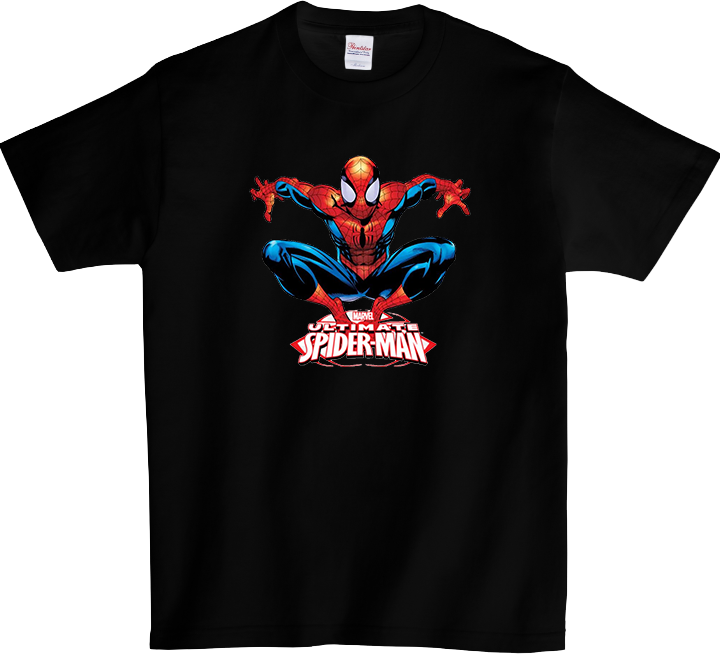 Koszulka T-shirt SpiderMan