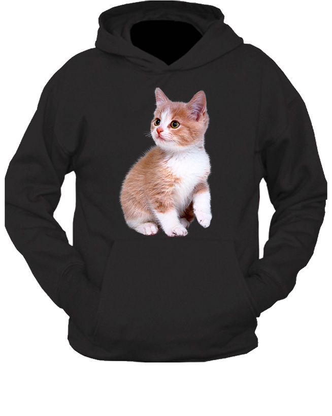 Bluza z kapturem z Kotem