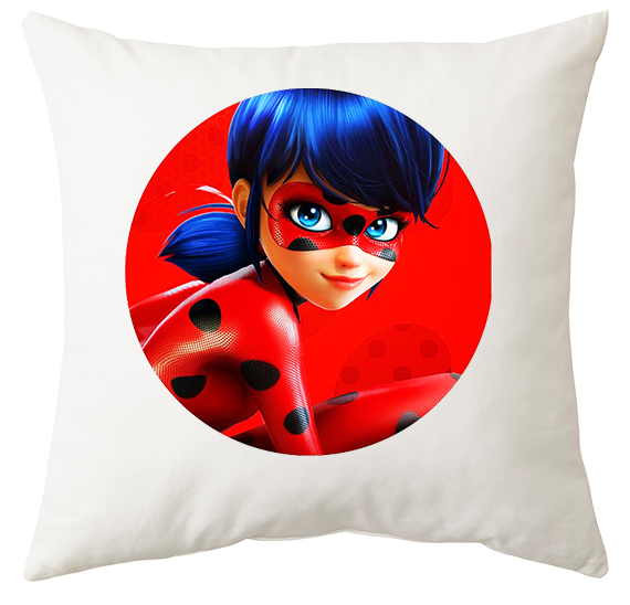 Poduszka Biedronka i Czarny Kot