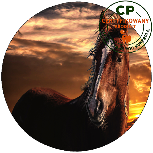 Opłatek na tort Konie