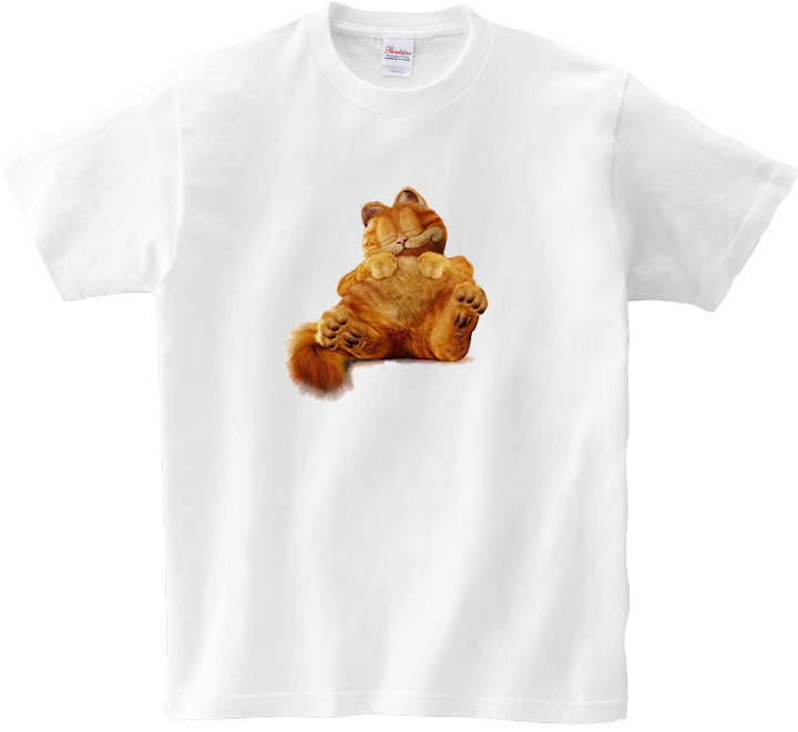 Koszulka T-shirt Garfield