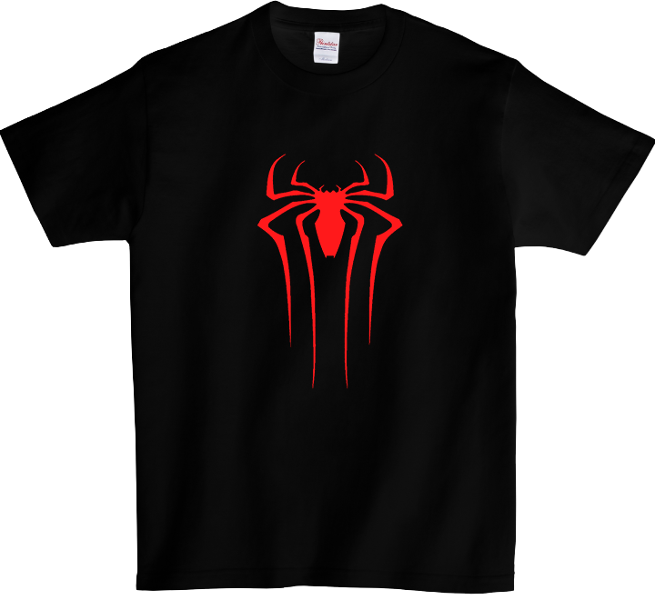 Koszulka T-shirt SpiderMan