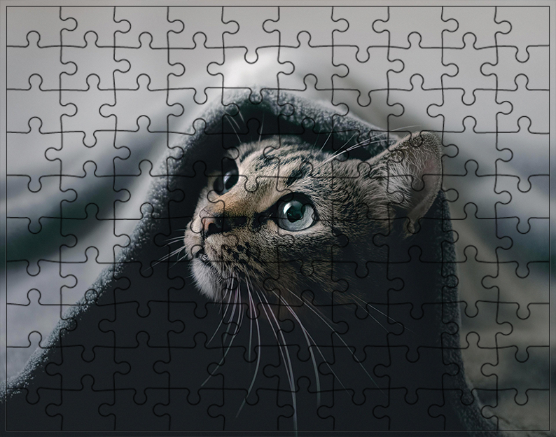 Puzzle Koty