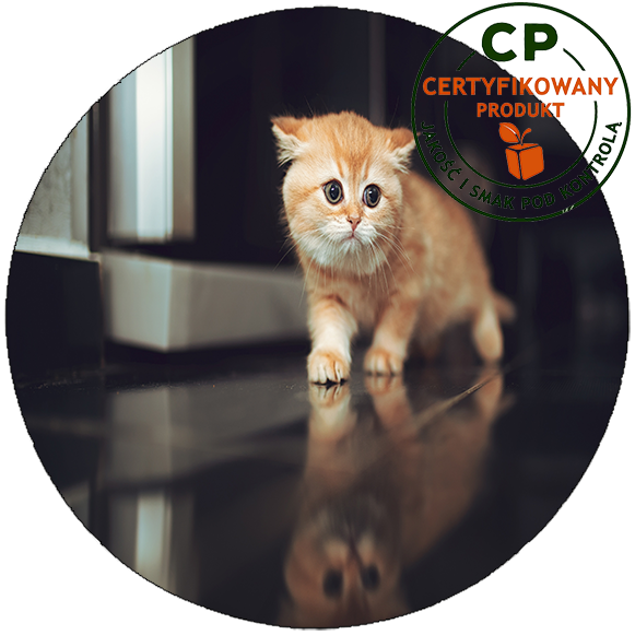 Opłatek na tort Koty