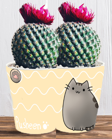 Doniczka do kwiatów/roślin - Pusheen - Kotek