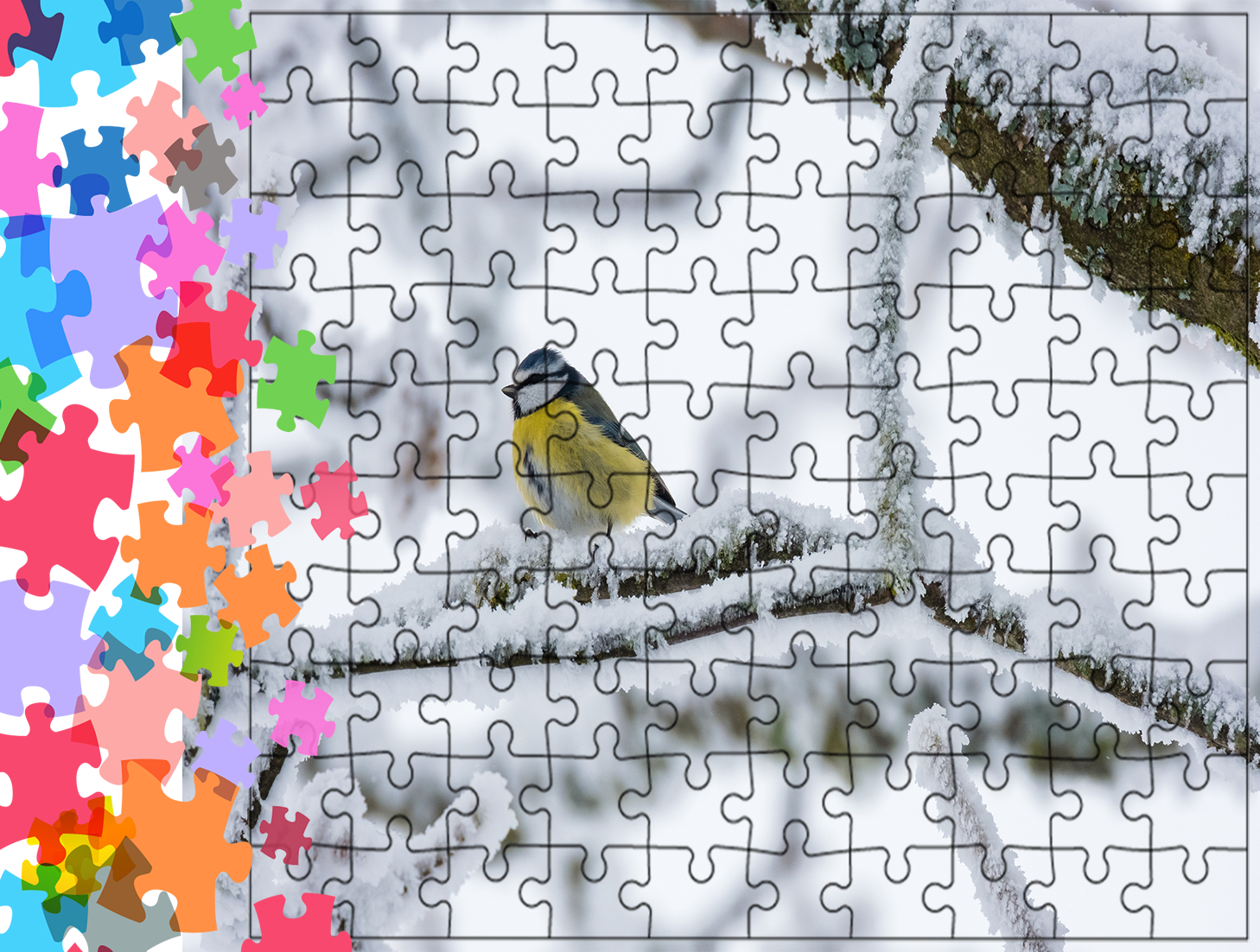 Puzzle tradycyjne Zwierzęta - Ptak