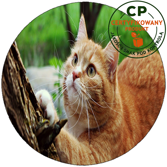 Opłatek na tort Koty