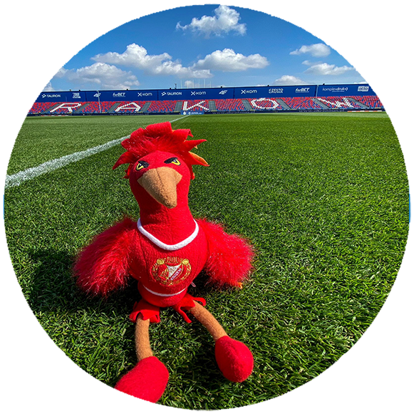 Podkładka pod myszkę Widzew Łódź