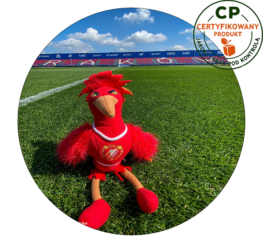 Opłatek na tort Widzew Łódź