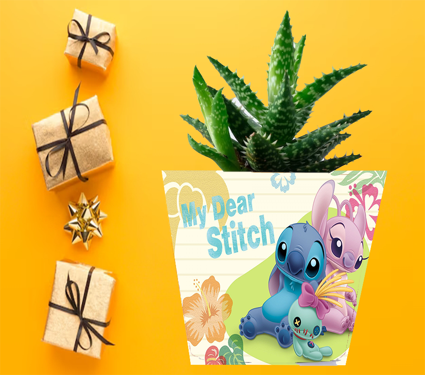 Doniczka do kwiatów/roślin - Lilo i Stich