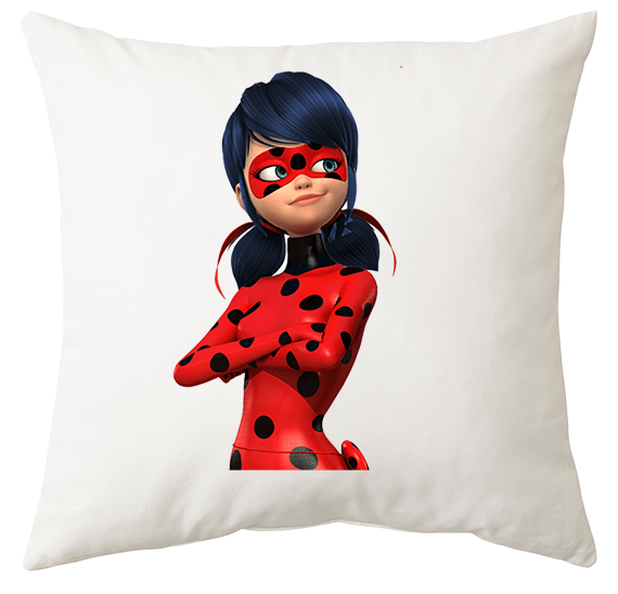 Poduszka Biedronka i Czarny Kot