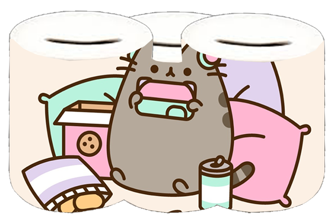 Skarbonka Pusheen