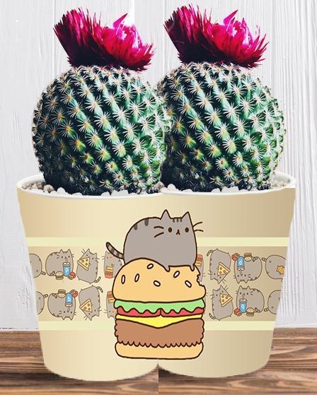 Doniczka do kwiatów/roślin - Pusheen - Kotek