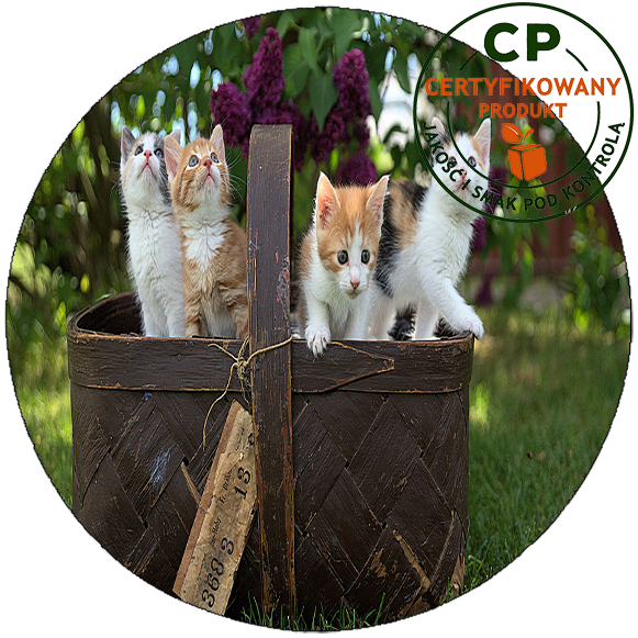 Opłatek na tort Koty