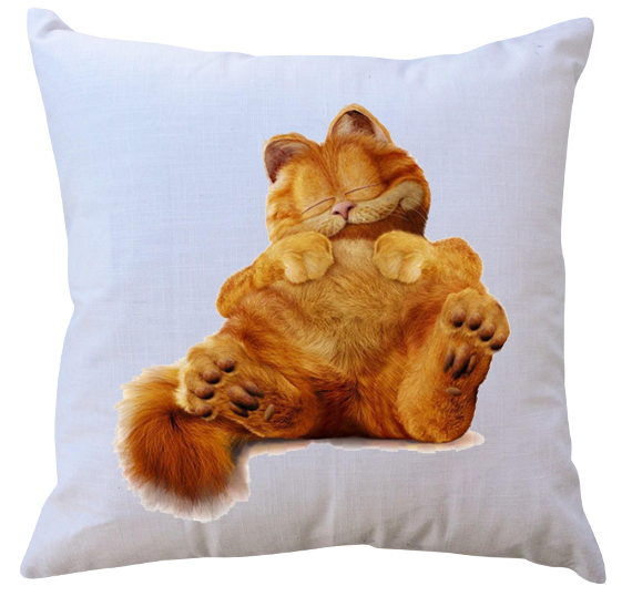 Poduszka Garfield