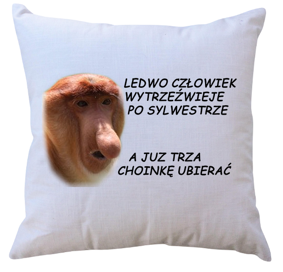 Poduszka dla Janusza