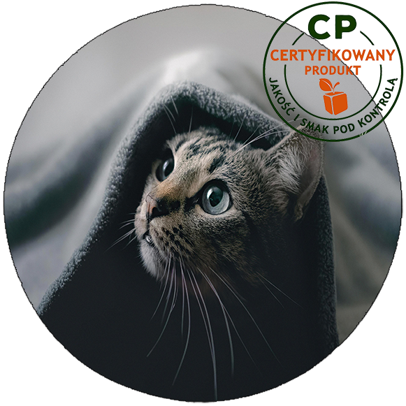 Opłatek na tort Koty