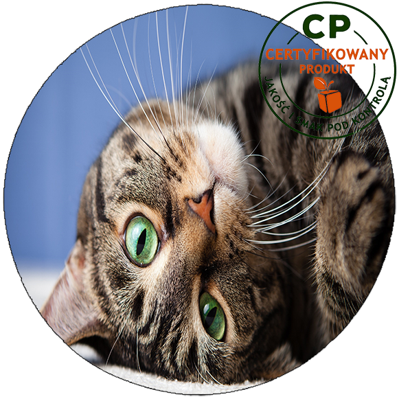 Opłatek na tort Koty