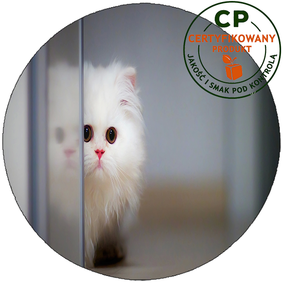 Opłatek na tort Koty