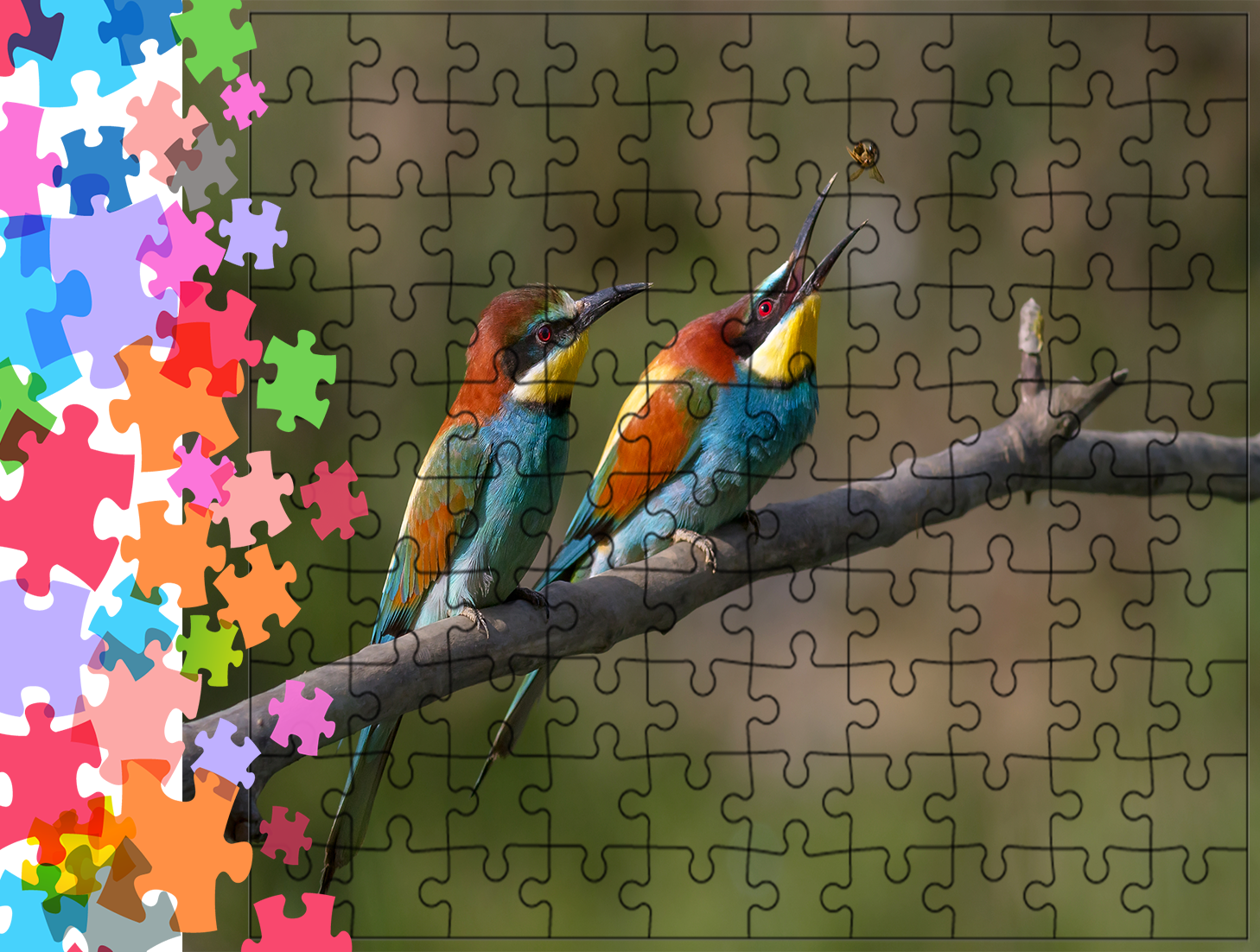 Puzzle tradycyjne Zwierzęta - Ptak