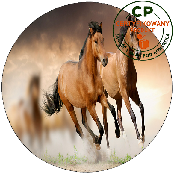 Opłatek na tort Konie