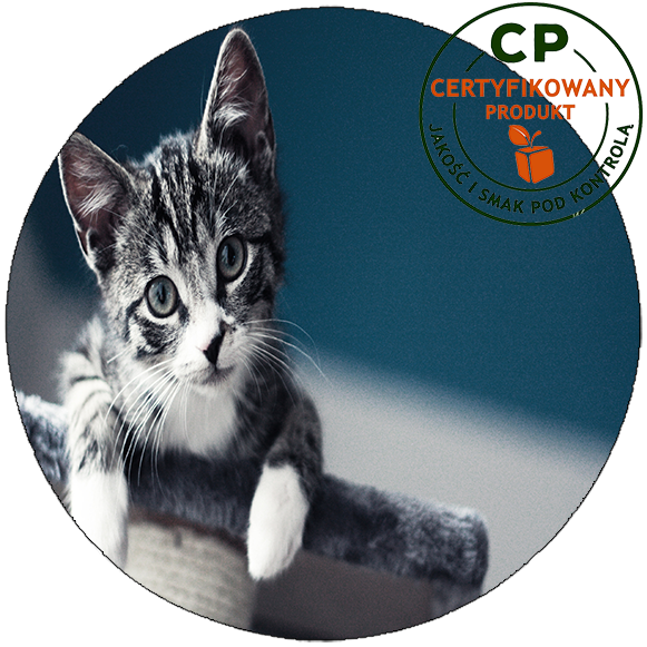 Opłatek na tort Koty