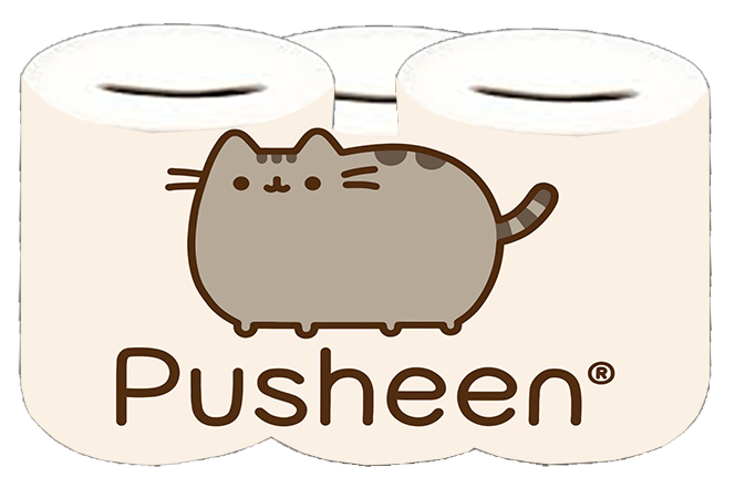 Skarbonka Pusheen
