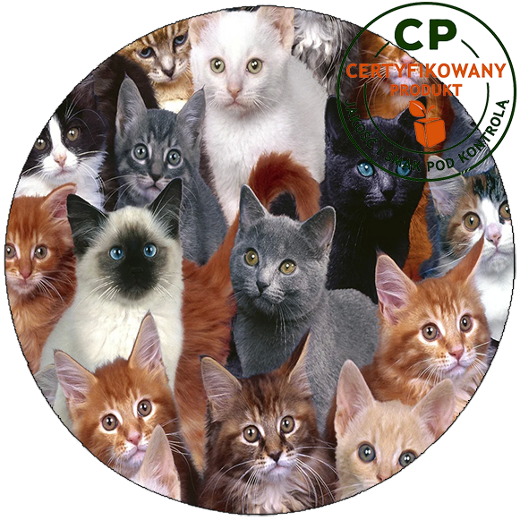 Opłatek na tort Koty