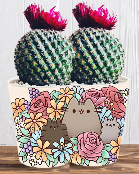 Doniczka do kwiatów/roślin - Pusheen - Kotek