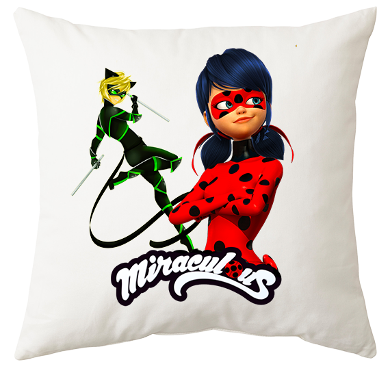 Poduszka Biedronka i Czarny Kot