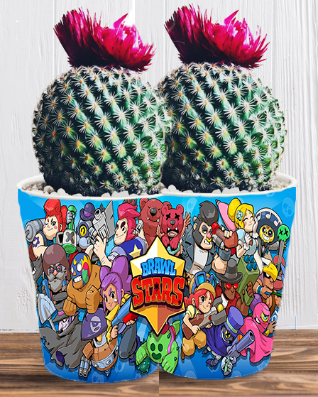 Doniczka do kwiatów - Brawl Stars