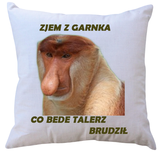 Poduszka dla Janusza