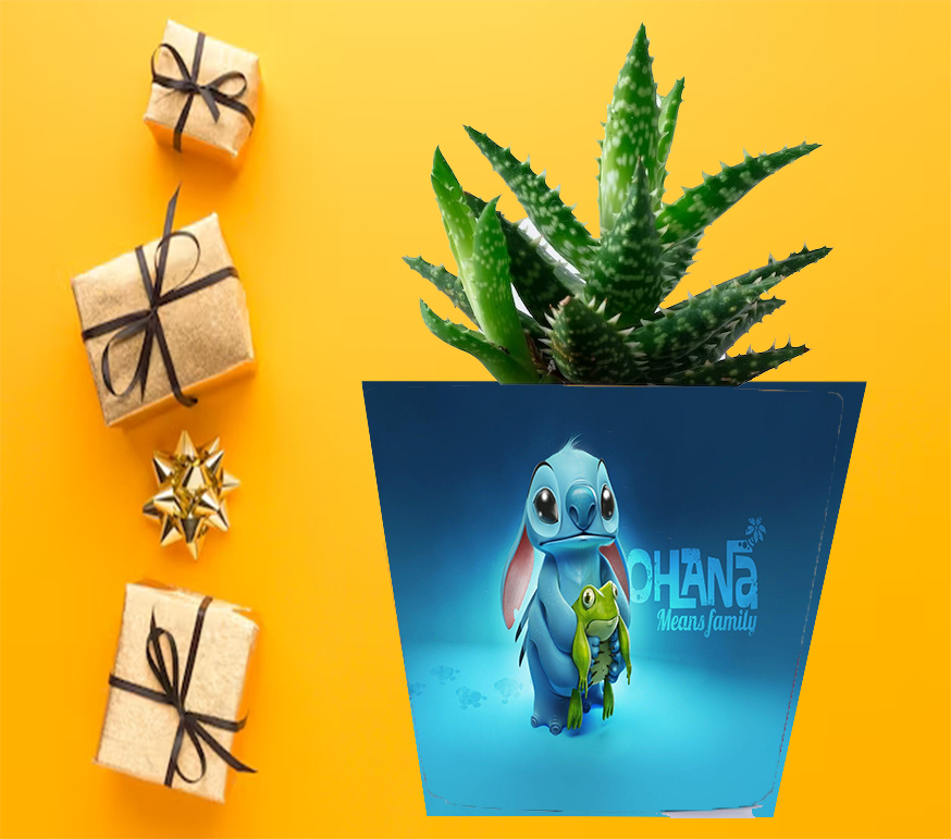 Doniczka do kwiatów/roślin - Lilo i Stich