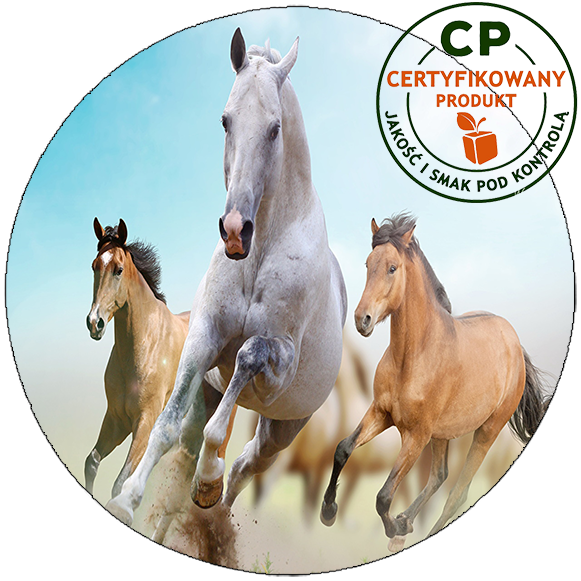 Opłatek na tort Konie