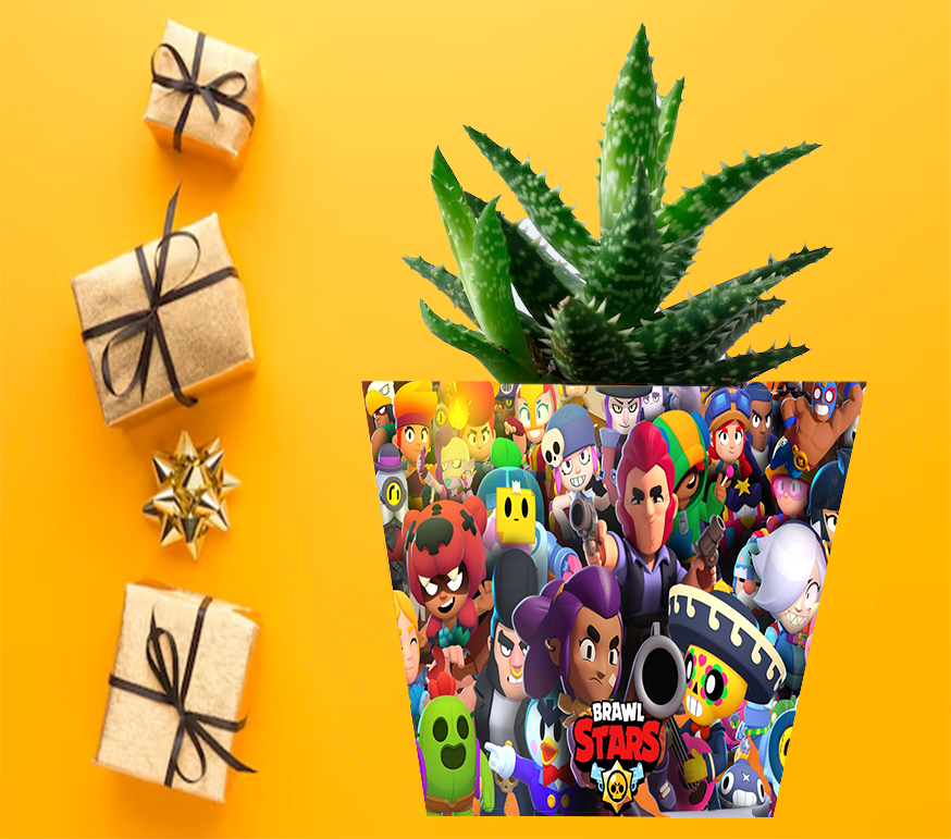 Doniczka do kwiatów - Brawl Stars