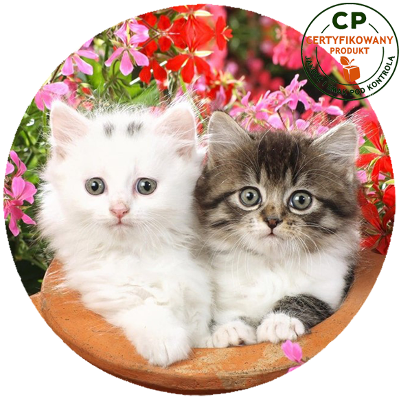 Opłatek na tort Koty