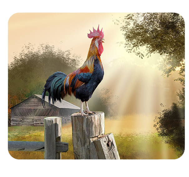 Podkładka pod myszkę Kury