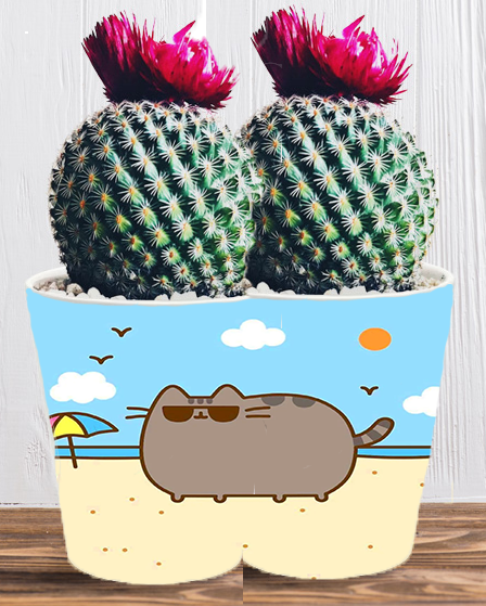 Doniczka do kwiatów/roślin - Pusheen - Kotek