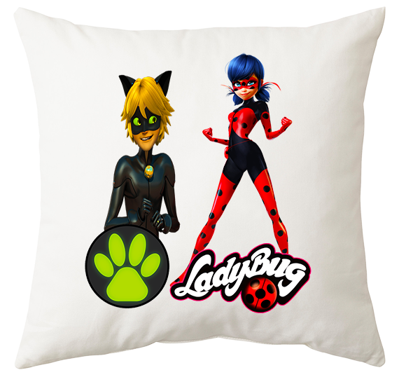 Poduszka Biedronka i Czarny Kot