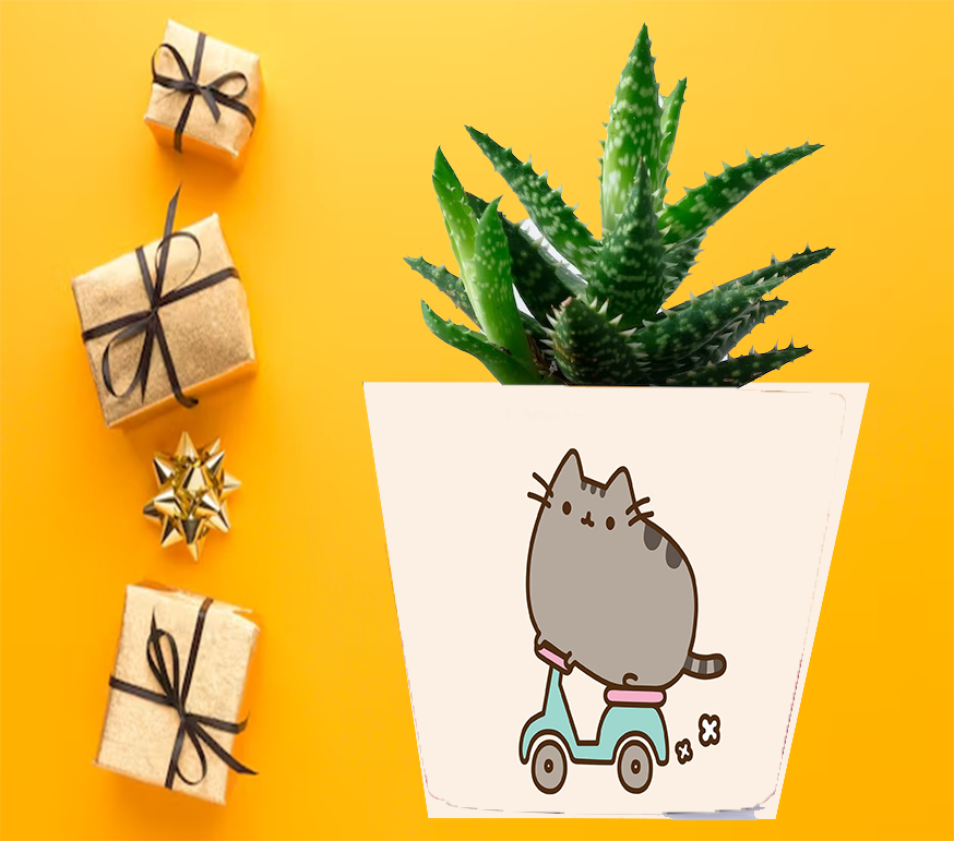 Doniczka do kwiatów/roślin - Pusheen - Kotek